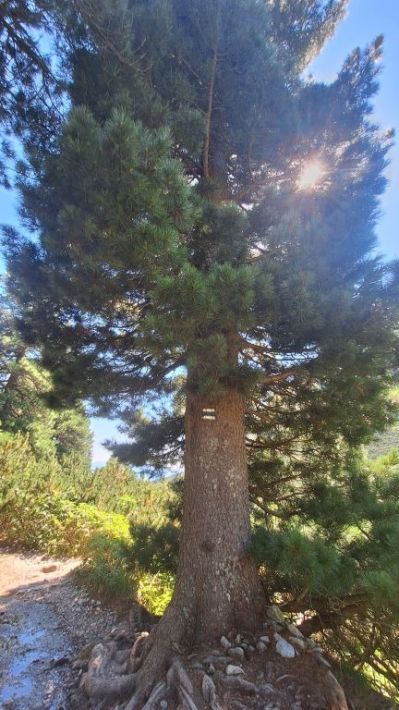 foto  5 