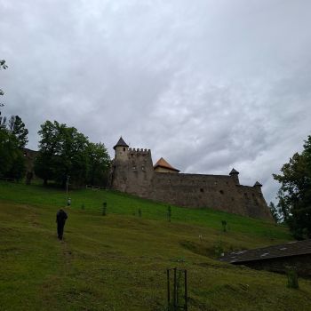 17891