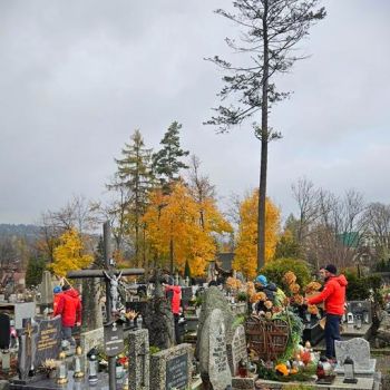 20261029  copy 